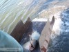 Popularea din luna Martie, 2015